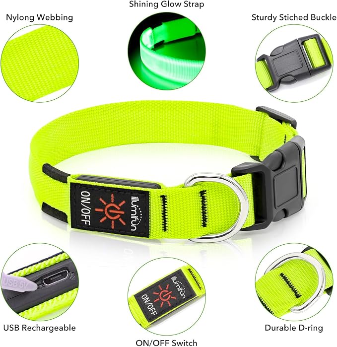 Luminous LED Dog Collar