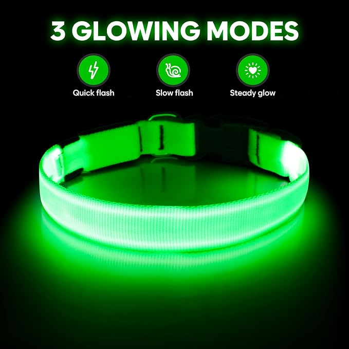 Luminous LED Dog Collar